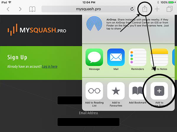 iOS Screenshot